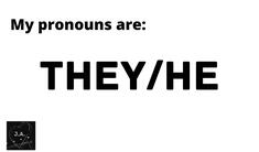 they/he