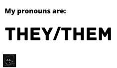 they/them