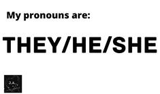 they/he/she