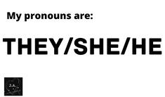 they/she/he
