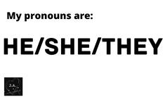 he/she/they