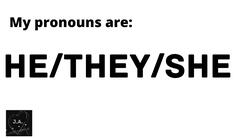 he/they/she