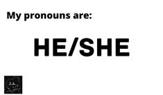 he/she