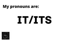 it/its