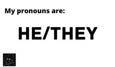 he/they