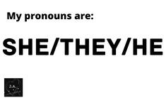 she/they/he