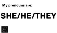 she/he/they